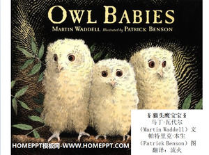 "Owl bayi" cerita buku bergambar