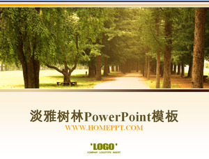 Park Holz Hintergrund Powerpoint-Vorlage herunterladen