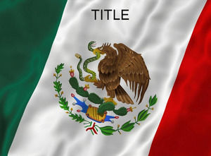 عرض بيرو علم الدولة