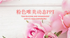Rosa linda rosa modelo de fundo PPT, planta PPT modelo de download