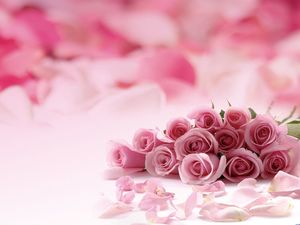 粉红色的浪漫玫瑰PPT背景图片