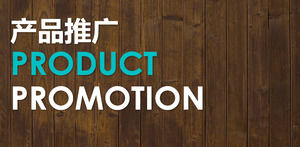 Promovarea produselor PPT șablon
