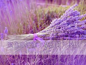 Lila Romantische Lavendel Hintergrund Pflanzen Diashow-Vorlage herunterladen