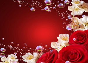 Romantic Rose dragoste fundal ppt