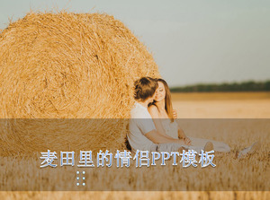 beberapa membentang di ladang gandum latar belakang slideshow Template Download