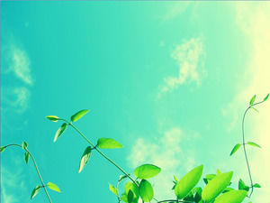 Dos cielo azul y del blanco nubes bajo la hermosa planta de PPT imagen de fondo
