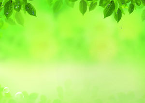 水滴葉黃綠色色調PPT背景圖片